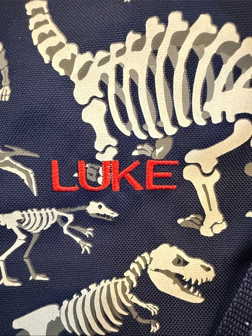 Pottery Barn Kids Navy Dinosaur Skeleton Toddler Duffel Bag embroidered name
